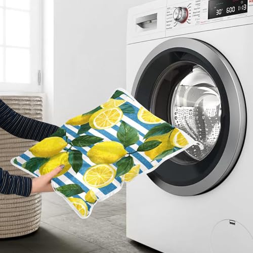 Mesh Laundry Bags Lingerie Bags for Washing Delicates 2 PCS Durable Wash Bag with Zipper Small and Medium Washable Blue Striped Summer Lemons - color: Blue Striped Summer Lemons