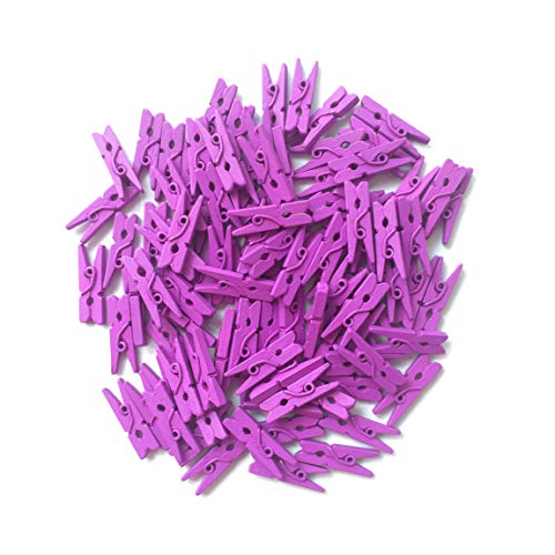 LWR CRAFTS Wooden Mini Clothespins 200 Per Pack 1" 2.5cm (Purple) - color: Purple