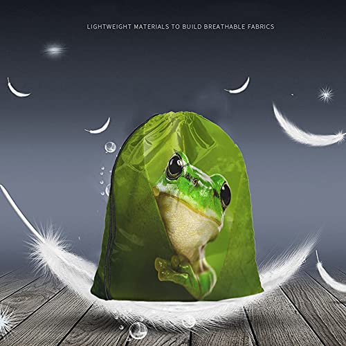 Green Frog Drawstring Bags Backpack Bag Cute Animal Little Funny Wildlife Tree Leaves Nature Black Big Eyes Sport Gym Sack Drawstring Bag String Bag Yoga Bag for Men Women - color: Multi-a04