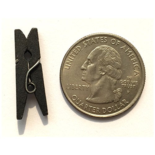 LWR CRAFTS Wooden Mini Clothespins 200 Per Pack 1" 2.5cm (Black) - color: Black