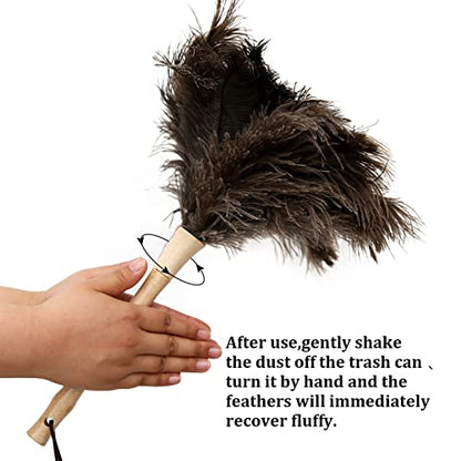 Ostrich Feather Duster 16 inch Feather Duster Fluffy Natural Genuine Ostrich Feathers with Wooden Handle and Eco-Friendly Reusable Handheld Ostrich Feather Duster for Cleaning Supplies - color: Model-a-brown-1 Piece