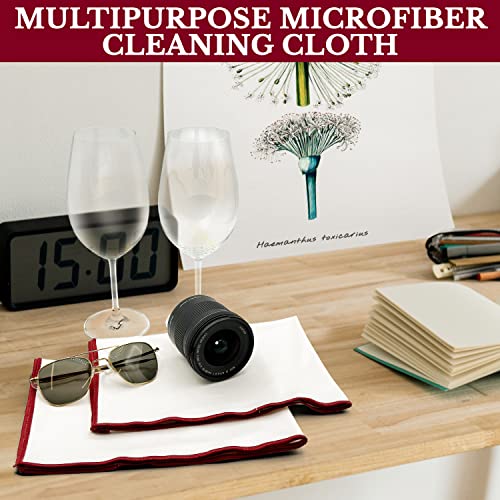 The 2-Pack Premium Microfiber Wine Glass Polishing Cloths, Large Lint-Free Drying Towels for Glasses, Stemware, Glassware, Camera Lenses, 25 Inch X 20 Inch (White, 2 Count) - color: White