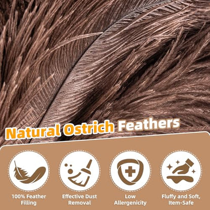 Extendable Ostrich Feather Duster for Cleaning with 49 inch Rotatable Pole - color: 49in-brown