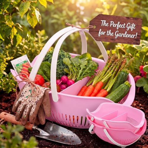 Nuogo 3 Pcs Garden Harvest Basket with Dividers Tool Caddy,Pink - color: Pink