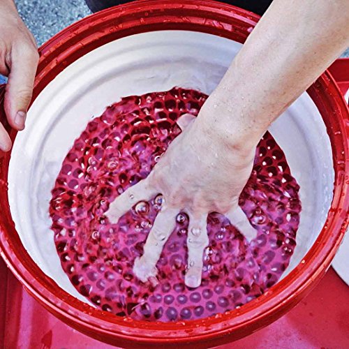 Chemical Guys, Cyclone Dirt Trap Car Wash Bucket Insert, Red, 12 in Filter - size: Pack of 1