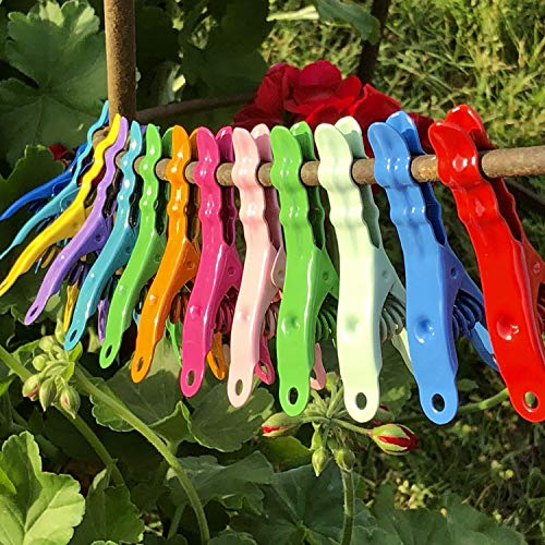 Extreme Clothespins | Pacific Blue | Solid 304 Stainless Steel | 20 Pack | Heavy Duty | Anti-Rust | Bright Color | Clothes Pins | Chip Clips | Lifetime Product | No Plastic Parts | Made in Italy - color: Pacific Blue