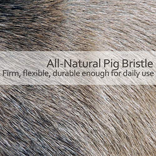 REDECKER Laundry Brush 4-1/2 Inch Natural Pig Bristle Made In Germany - Oiled Pearwood Handle - Laundry Brush For Stains - Wooden Laundry Cleaning Brush